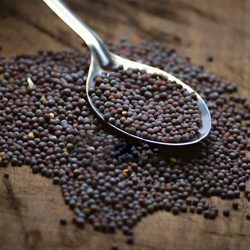 Mustard Seeds