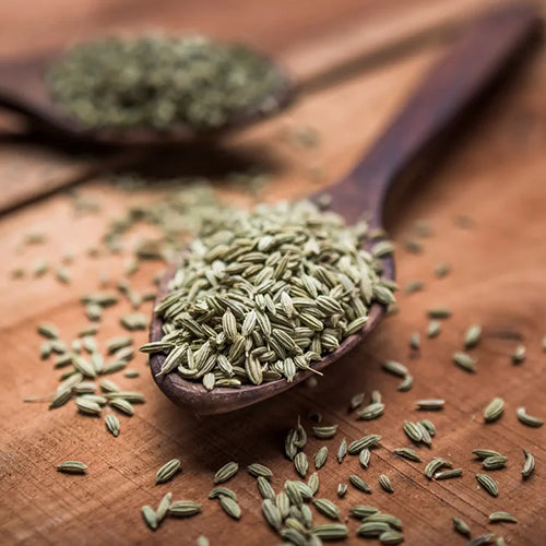 Fennel Saunf Seeds